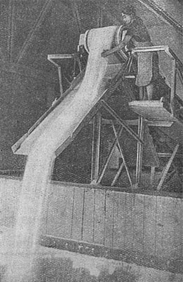 Выпуск сахарного песка на заводе