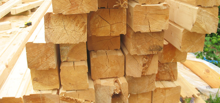 Спирт из древесины - Жизненные формы растений