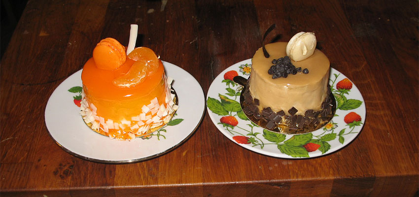 Сахар из крахмала - Жизненные формы растений